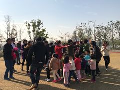 -上海长兴岛郊野公园