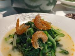 上汤鸡毛菜-解香楼