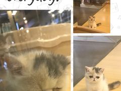 -宠物世家(仲盛世界商城店)