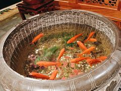 -小吊梨汤·北京菜·烤鸭(四元桥店)