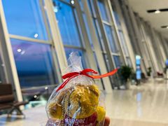 -河内内排国际机场