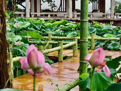 -广州莲花山旅游区