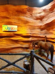 -酷嗒动物文化乐园(cutezoo西溪乐天城店)