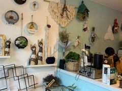 店内布置-平行世界·猫咖(首经贸店)