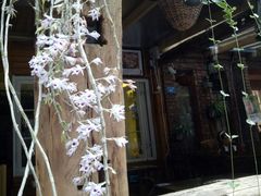 -符淼淼火锅(宽窄巷子店)