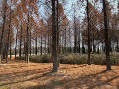 -狼山风景名胜区