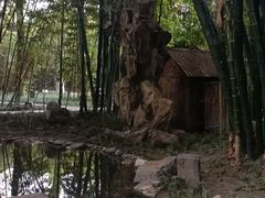 -望江楼公园