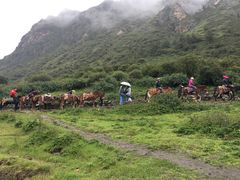 -稻城亚丁风景区-电瓶观光车售票处