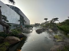 -罗红摄影艺术馆