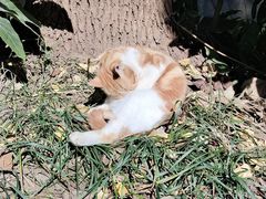 -狼山风景名胜区