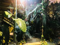 -大塘金香草谷