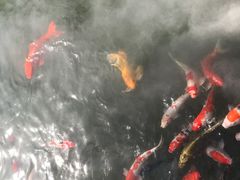 -杭州西湖柳莺里酒店