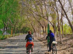 -长白岛森林公园