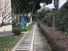 -上海市保健医疗中心(华东疗养院)