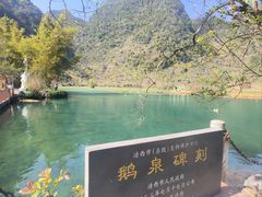 -靖西鹅泉风景区