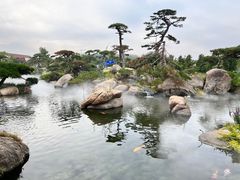 -罗红摄影艺术馆