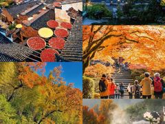 -婺源风景区