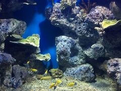 -福州罗源湾海洋世界旅游区