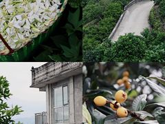 -楠溪江风景名胜区