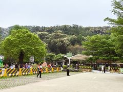 -广州白江湖森林公园