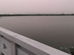 -南湖湿地公园