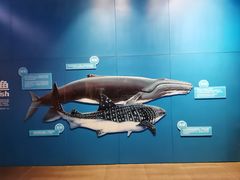 -青岛海底世界-水族馆