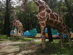 -南戴河国际娱乐中心