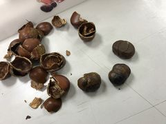 -小宝栗子(嘉华国际商业中心店)