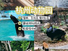 -杭州动物园