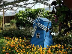 -南宫温泉水世界