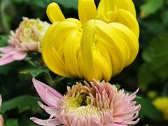 -共青国家森林公园-售票处