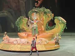 -广州长隆国际大马戏