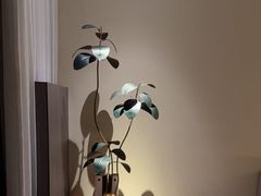 -木兰逸•泰式按摩•头疗•SPA(车公庙店)