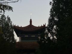 -森林公园(尖草坪区)