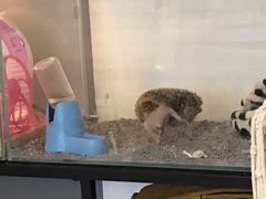 -平行世界·猫咖(首经贸店)