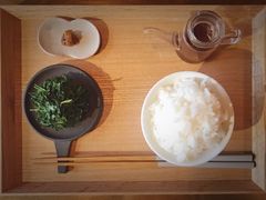 玉露茶叶配饭-飛鳥製茶