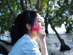 -宝安西湾红树林湿地公园