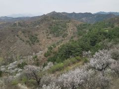 -蟠龙山长城景区