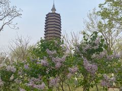 -西海子公园