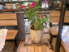 -福照楼汽锅鸡·云南菜(万达广场店)