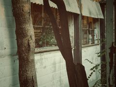 -斯多格书乡(北京大学畅春园店)