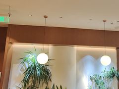-奈雪的茶(石家庄万象城店)