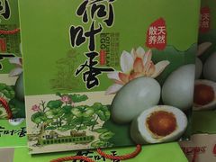 -兴芮温泉度假区