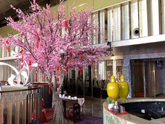 -金轩中餐厅 Jin Xuan(浦东丽思卡尔顿酒店)
