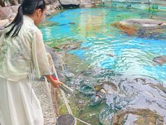-海合安成都极地海洋公园