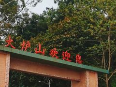 -火炉山森林公园