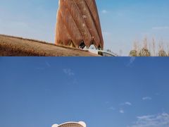 -成都大熊猫繁育研究基地