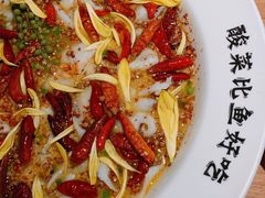 -太二酸菜鱼(正大广场店)