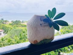 -海南清水湾莱佛士酒店