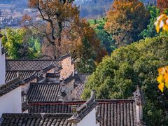 -塔川景区